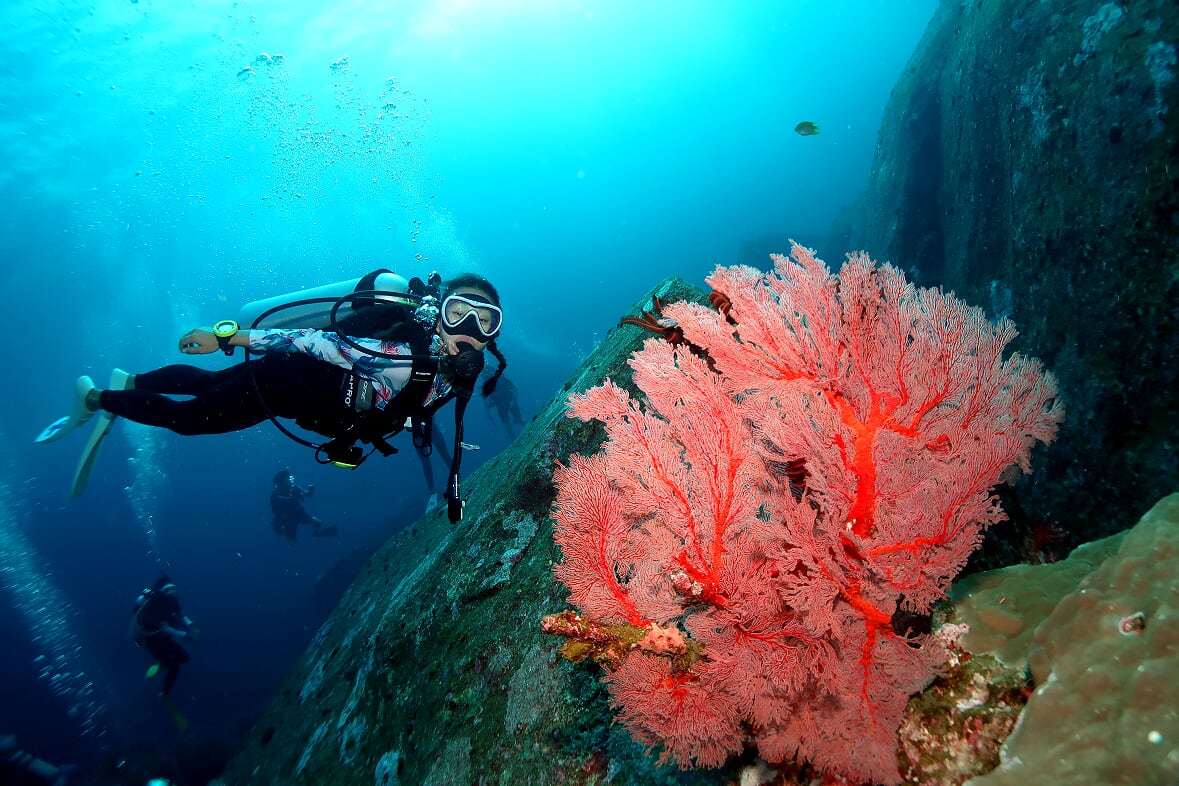 Diving Phuket